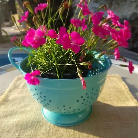 Lunzjata Bed & Breakfast